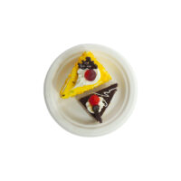 Sugarcane Party Plate