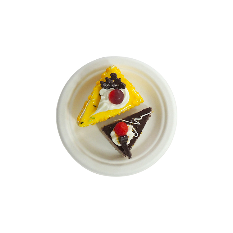 Sugarcane Party Plate