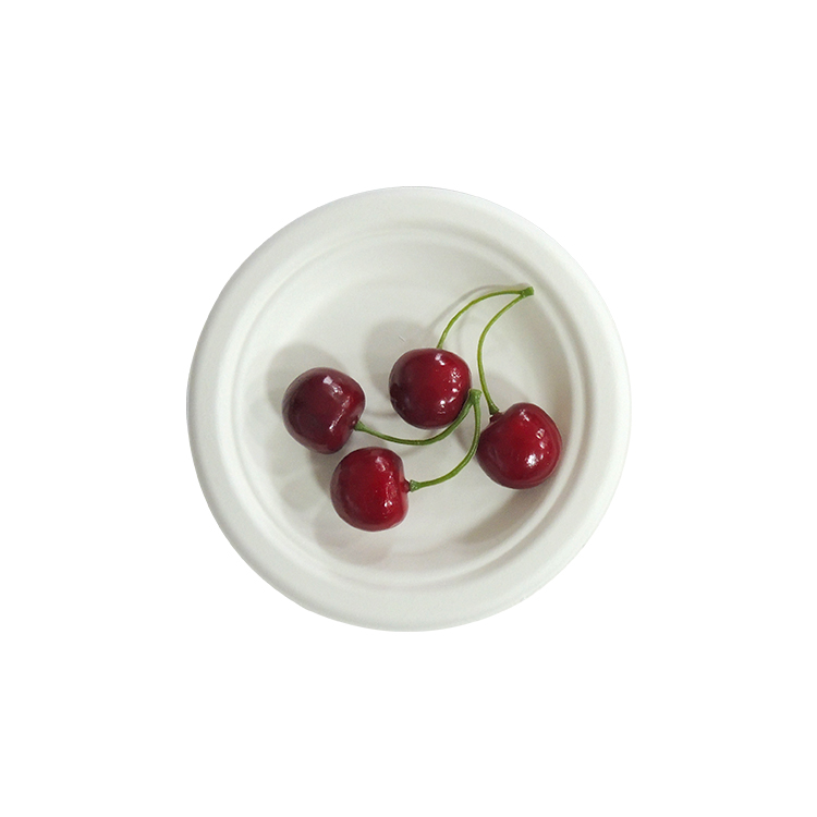 Sugarcane Party Plate