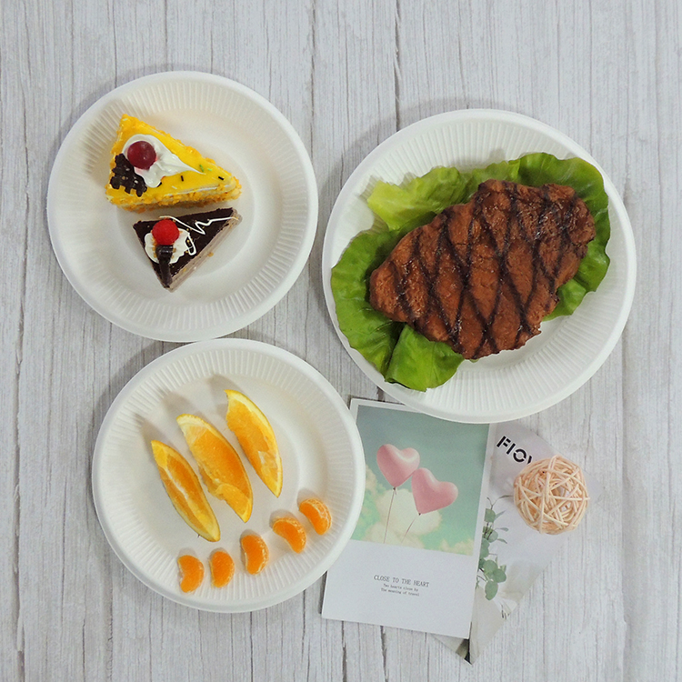 Sugarcane Party Plate
