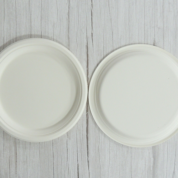 Sugarcane Plate Supplier