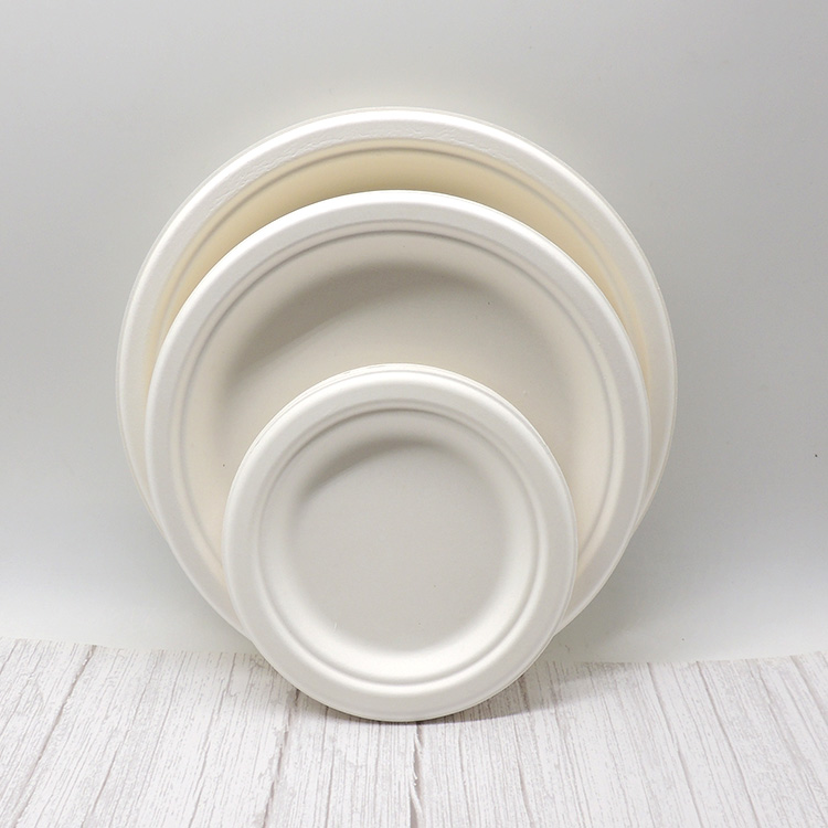 Sugarcane Plate Supplier