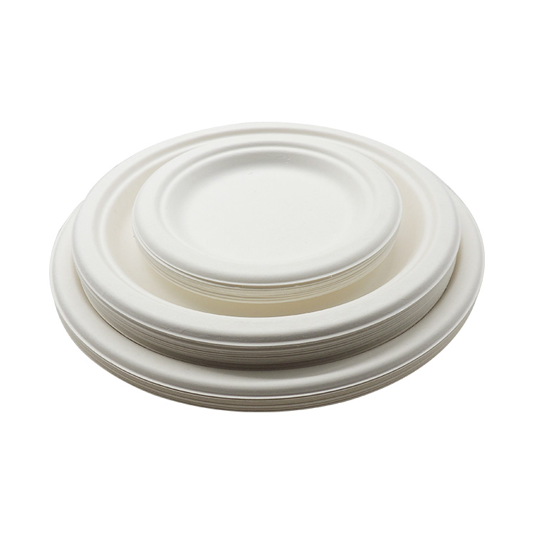 Sugarcane Plate Supplier