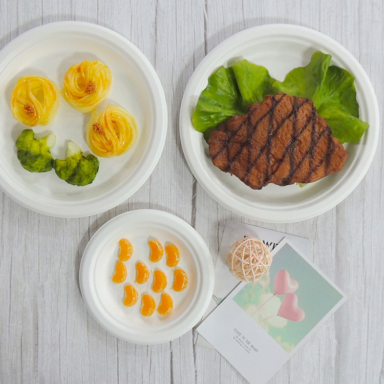 Sugarcane Round Plate