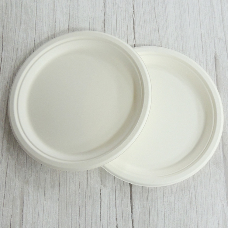 Sugarcane Round Plates