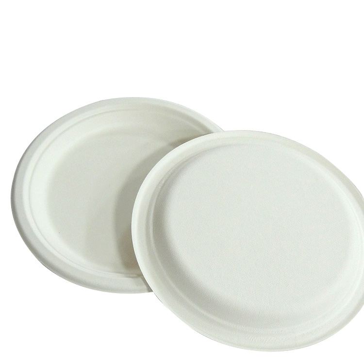 Sugarcane Round Plates