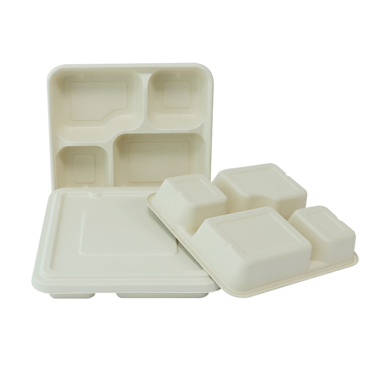 Sugarcane School Lunch Tray