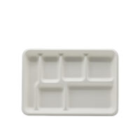 Sugarcane Tray Manufacturer