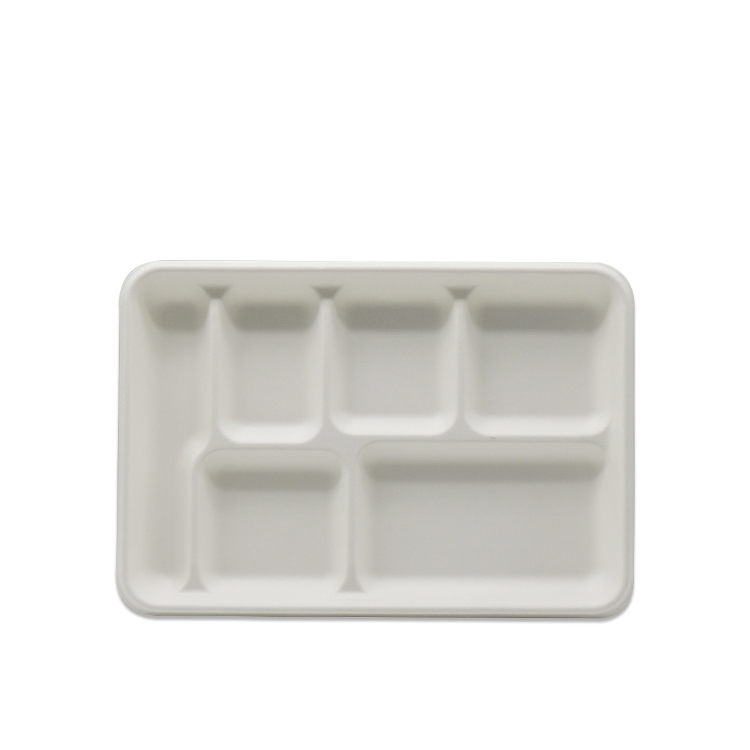 Sugarcane Tray Manufacturer