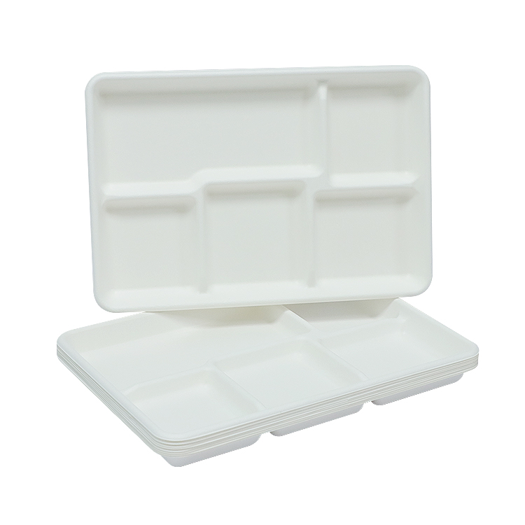 Sugarcane Tray Manufacturer