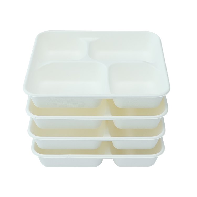 Sugarcane Tray Manufacturer