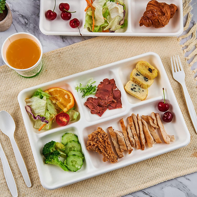 Sugarcane Tray Manufacturer