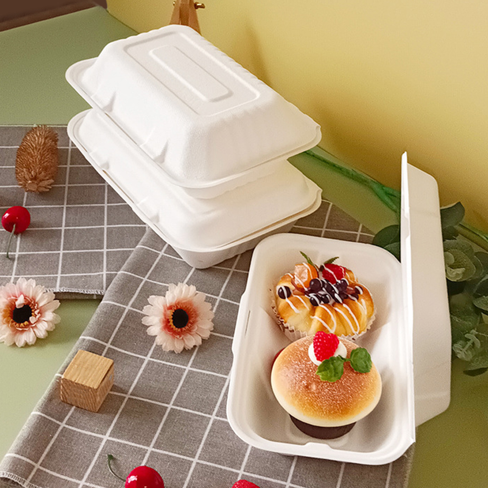 What Certifications Are Required for Biodegradable Packaging