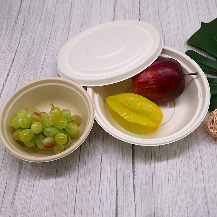 Bagasse Bowls for Takeaway and Delivery