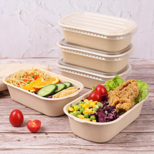 Bagasse Compostable Food Packaging