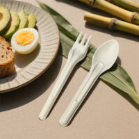 Bagasse Tableware for Restaurants