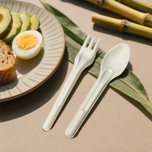 Bagasse Tableware for Restaurants