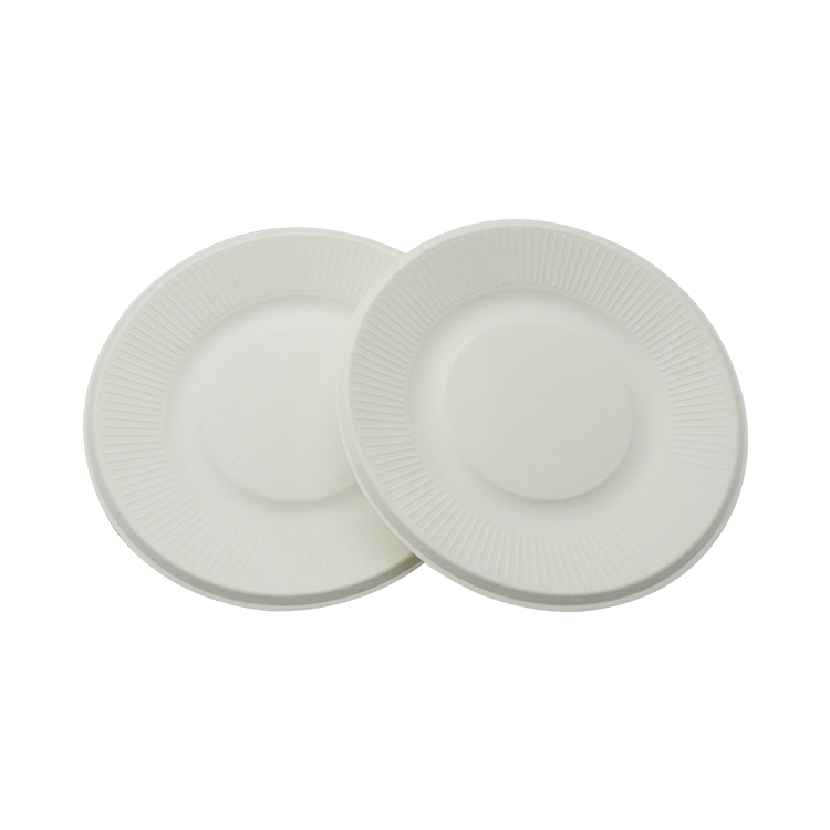 Biodegradable Sugarcane Plate