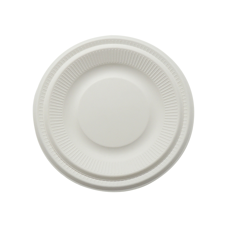 Biodegradable Sugarcane Plate