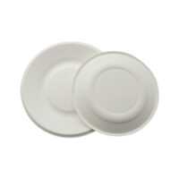 Biodegradable Sugarcane Plate