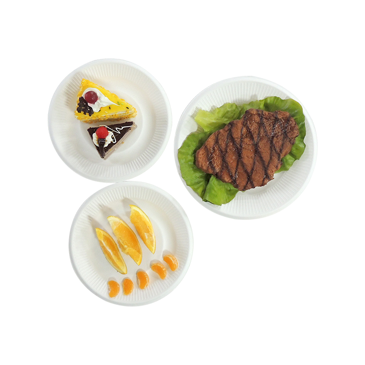 Biodegradable Sugarcane Plate