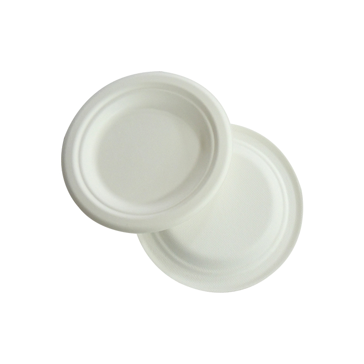 Bulk Sugarcane Bagasse Plates for Foodservice