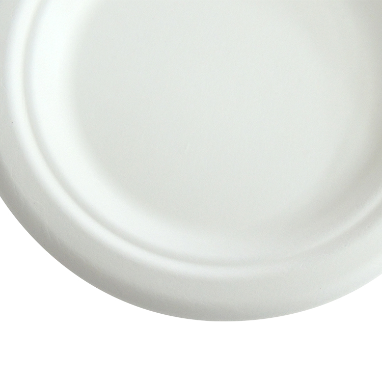Bulk Sugarcane Bagasse Plates for Foodservice