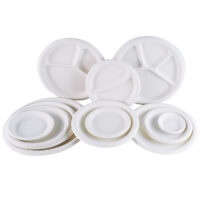 Cornstarch Compostable Plate