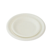 Cornstarch Disposable Plate