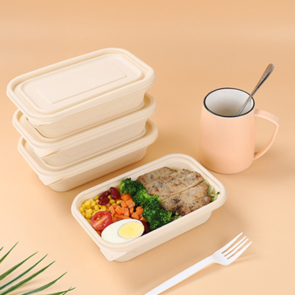 Cornstarch Food Packaging for Restaurants