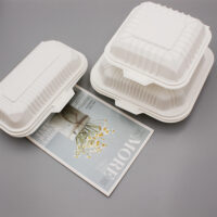 Cornstarch Hamburger Box