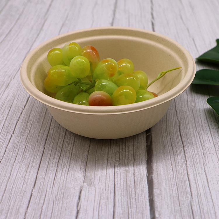 Disposable Bagasse Bowls for Takeaway Food