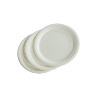 Disposable Bagasse Plates for Takeaway Food