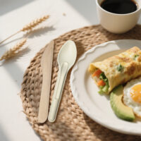 Disposable Bagasse Tableware for Takeaway Food