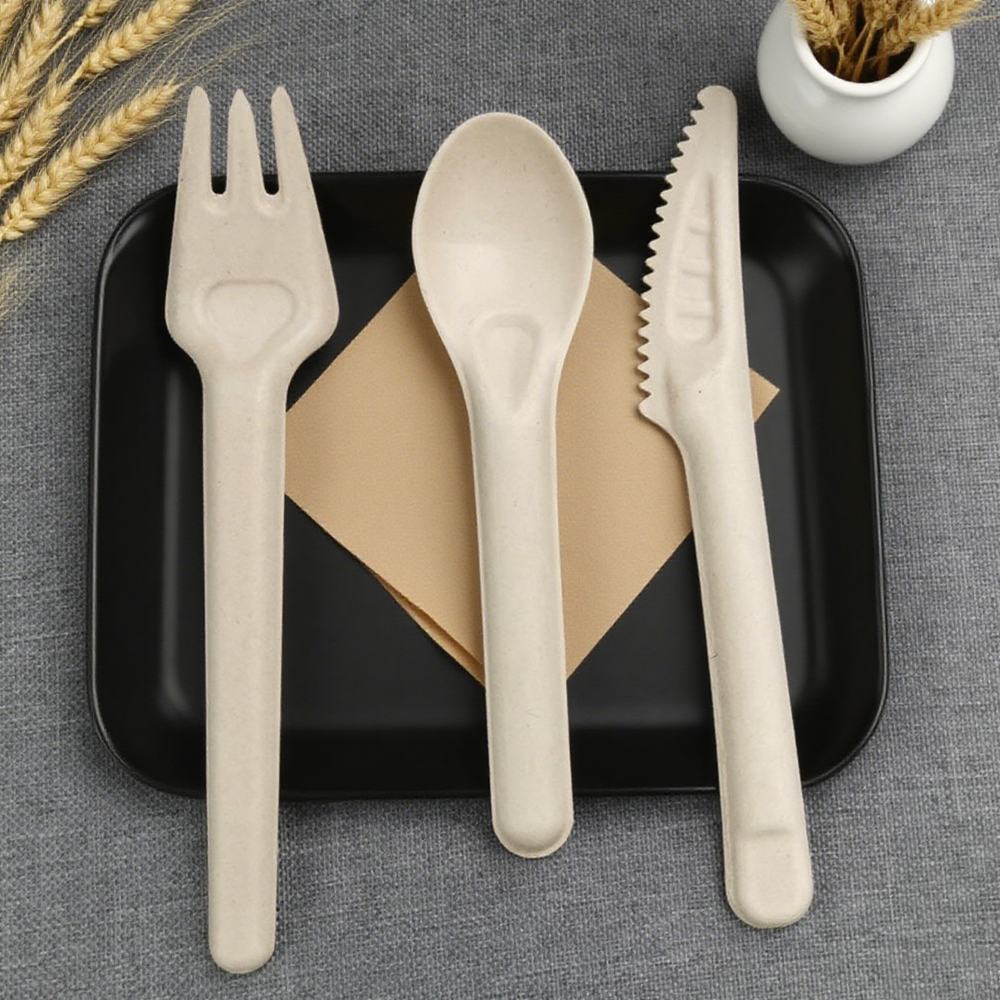 Disposable Bagasse Tableware for Takeaway Food