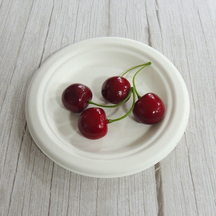 Heavy Duty Sugarcane Plate