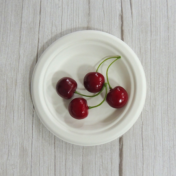 Heavy Duty Sugarcane Plate