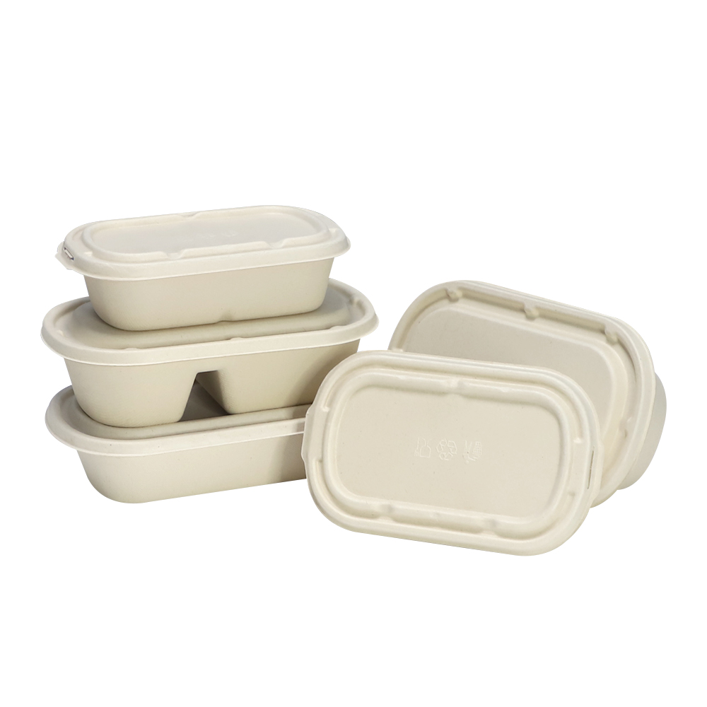 Is Biodegradable Packaging Better Than Plastic Facts and Comparison