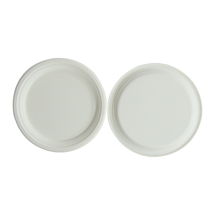 Microwave Safe Sugarcane Plate