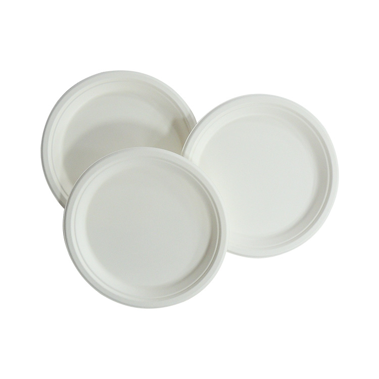 Microwave Safe Sugarcane Plate