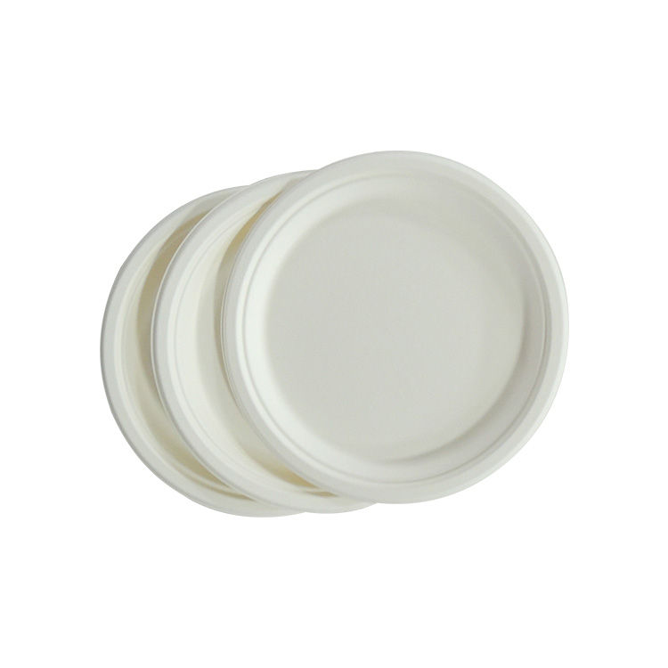 Microwave Safe Sugarcane Plate