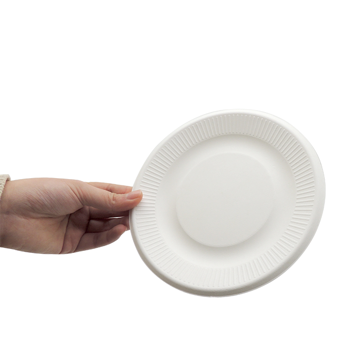 Round Bagasse Plates for Foodservice Businesses