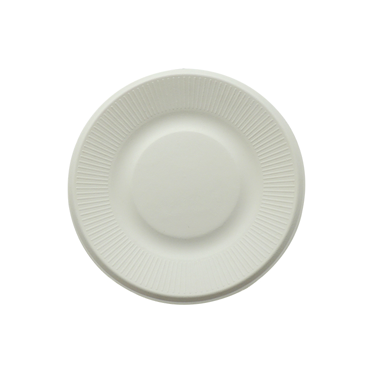 Round Bagasse Plates for Foodservice Businesses