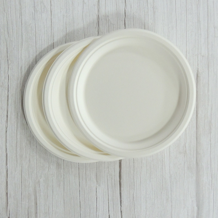 Sugarcane BBQ Plate