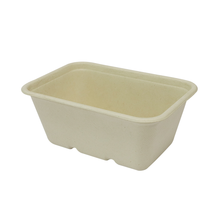 Sugarcane Bagasse Catering Food Container