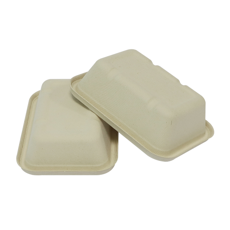 Sugarcane Bagasse Catering Food Container