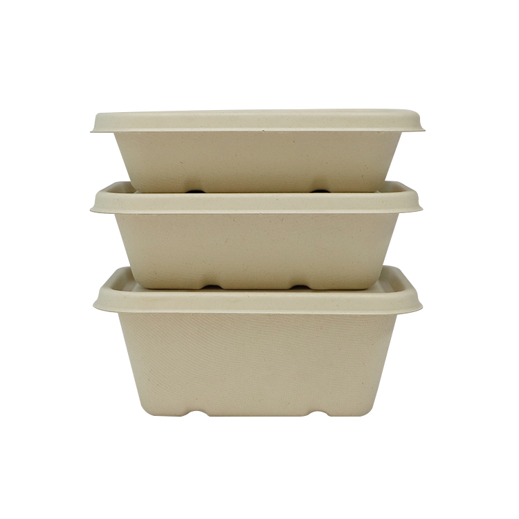 Sugarcane Bagasse Catering Food Container