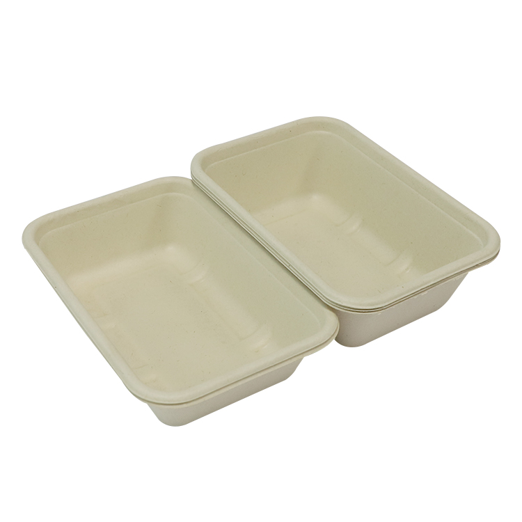 Sugarcane Bagasse Catering Food Container