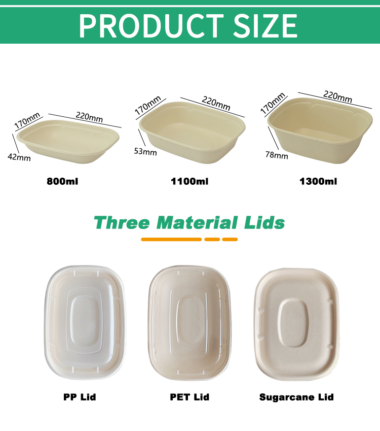 Sugarcane Bagasse Catering Food Container