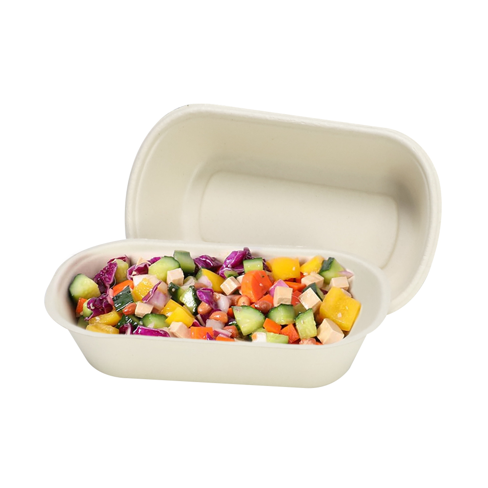 Sugarcane Bagasse Compostable Food Container